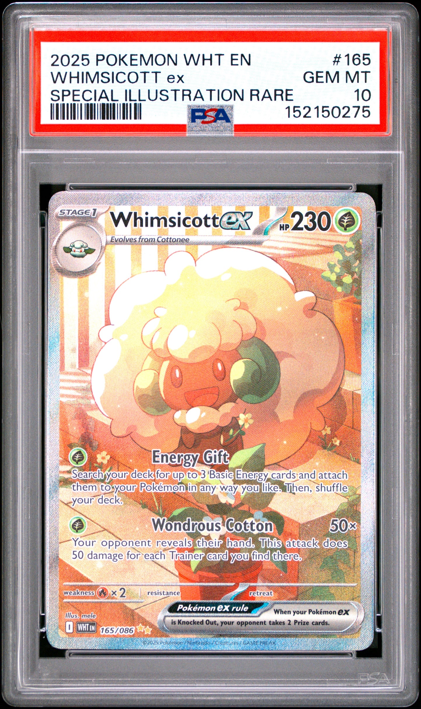 PSA GEM MT 10 Whimsicott ex 165 SPECIAL ILLUSTRATION RARE English White Flare Pokemon 2025